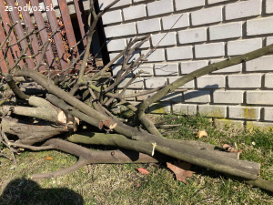 Darujem drevo kúrenie