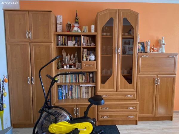 Darujem obývaciu stenu (bez bicykla)