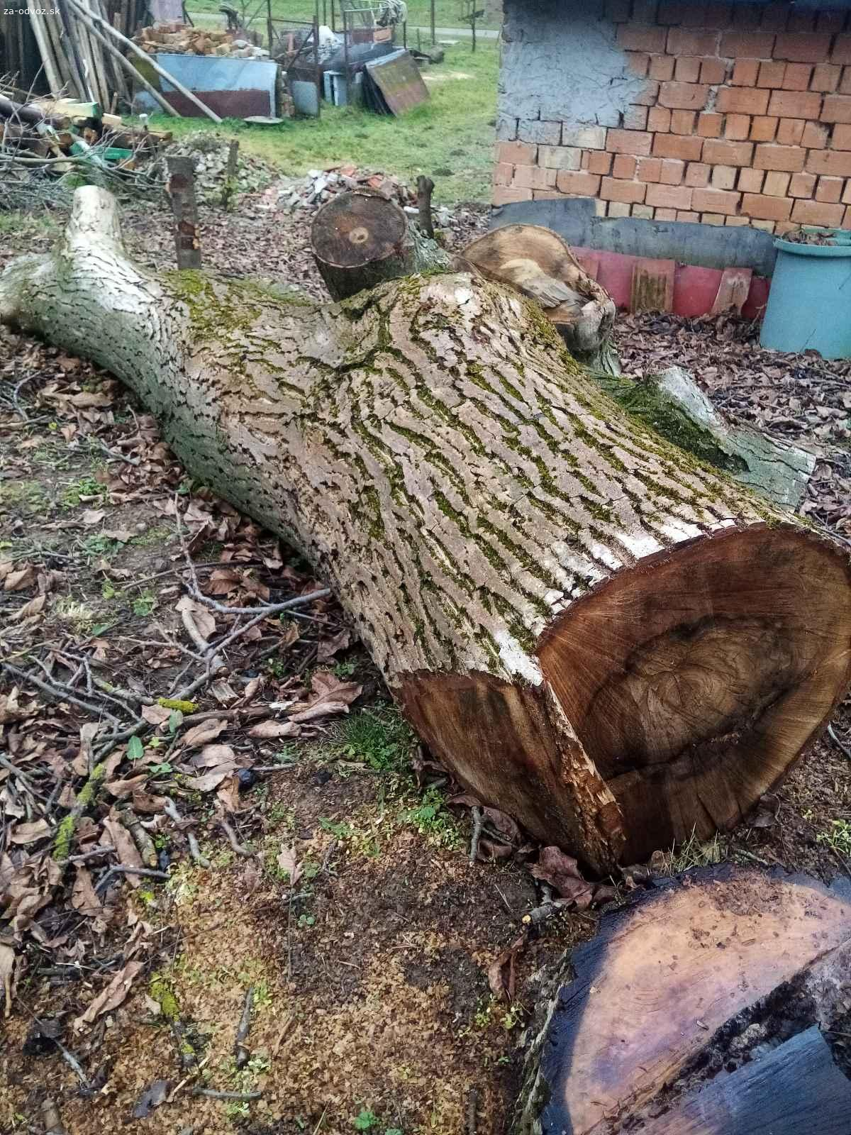 Darujem orechové pne. Darujem orechové pne za odvos