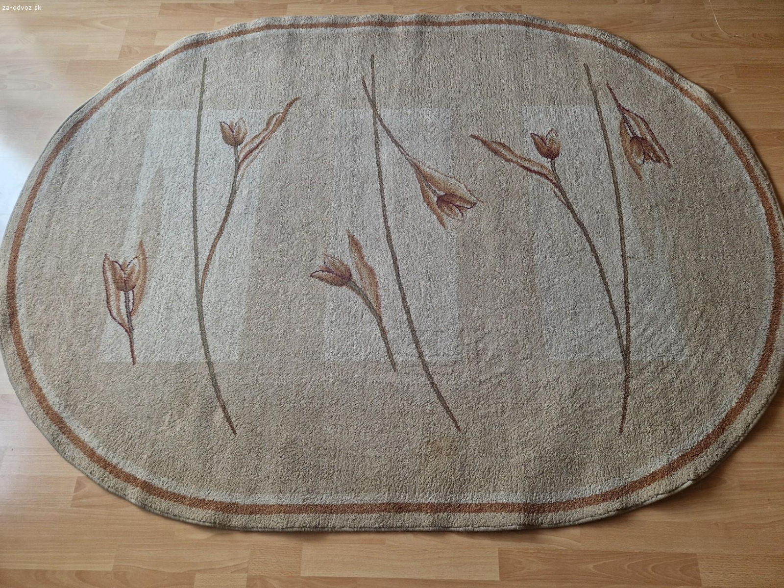 Darujem oválny koberec
