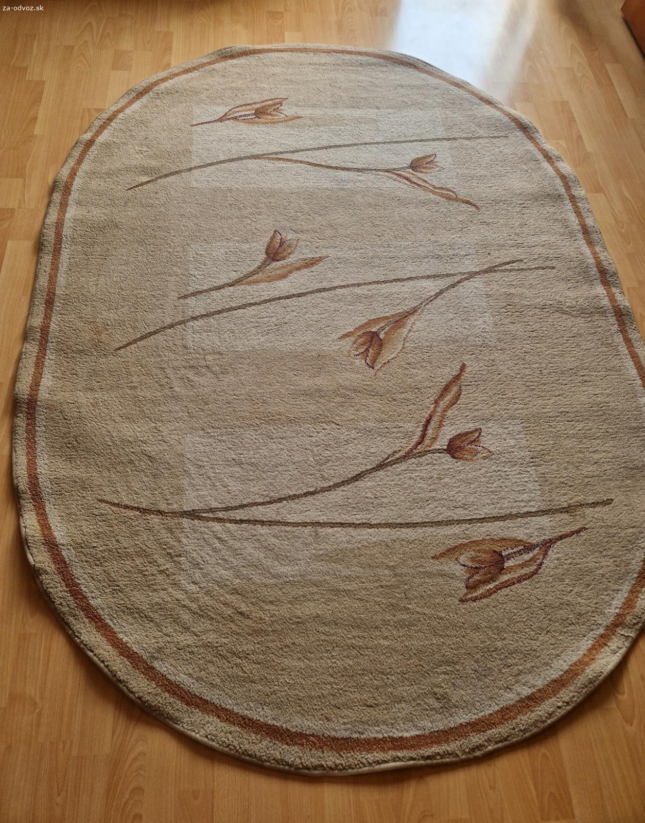 Darujem oválny koberec