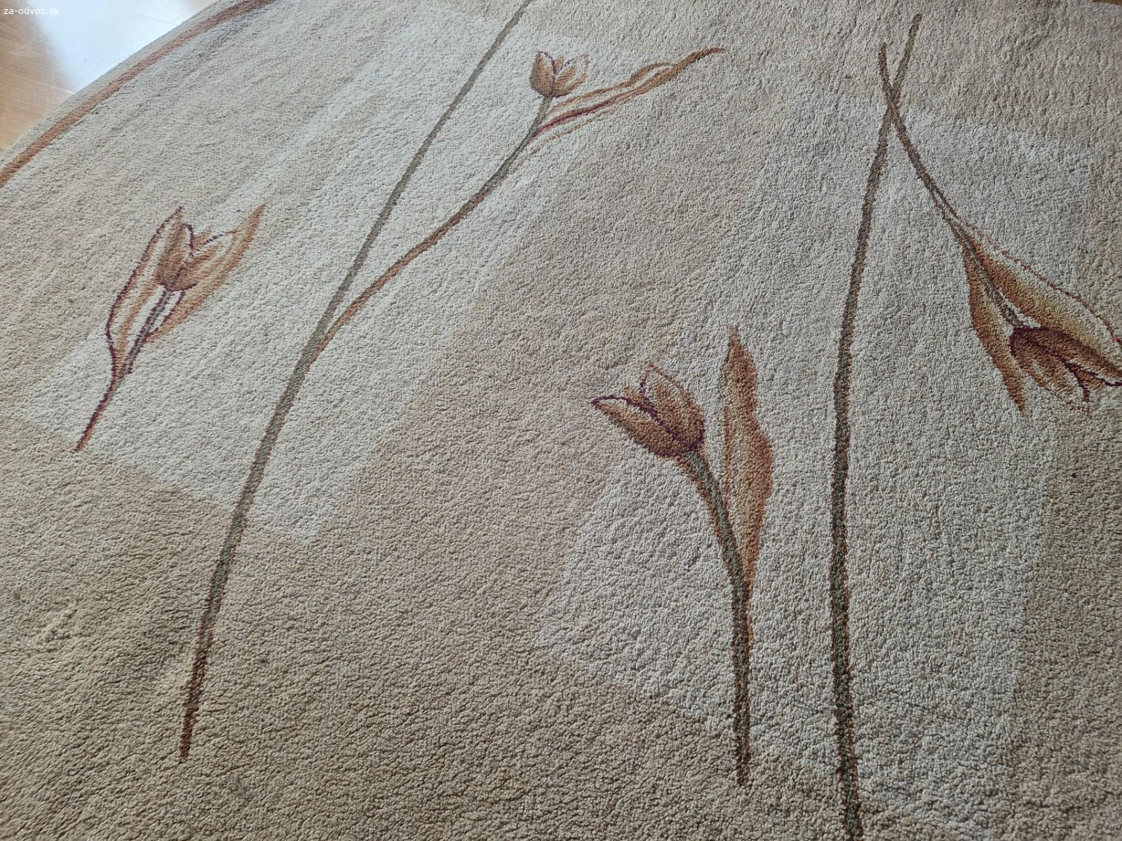 Darujem oválny koberec