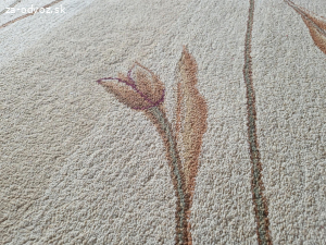 Darujem oválny koberec