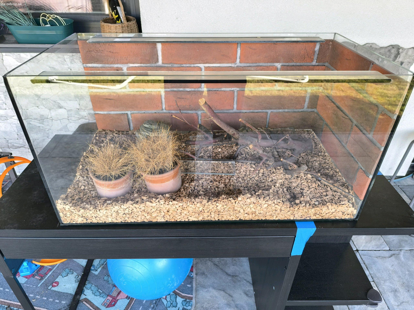 Darujem Terarium