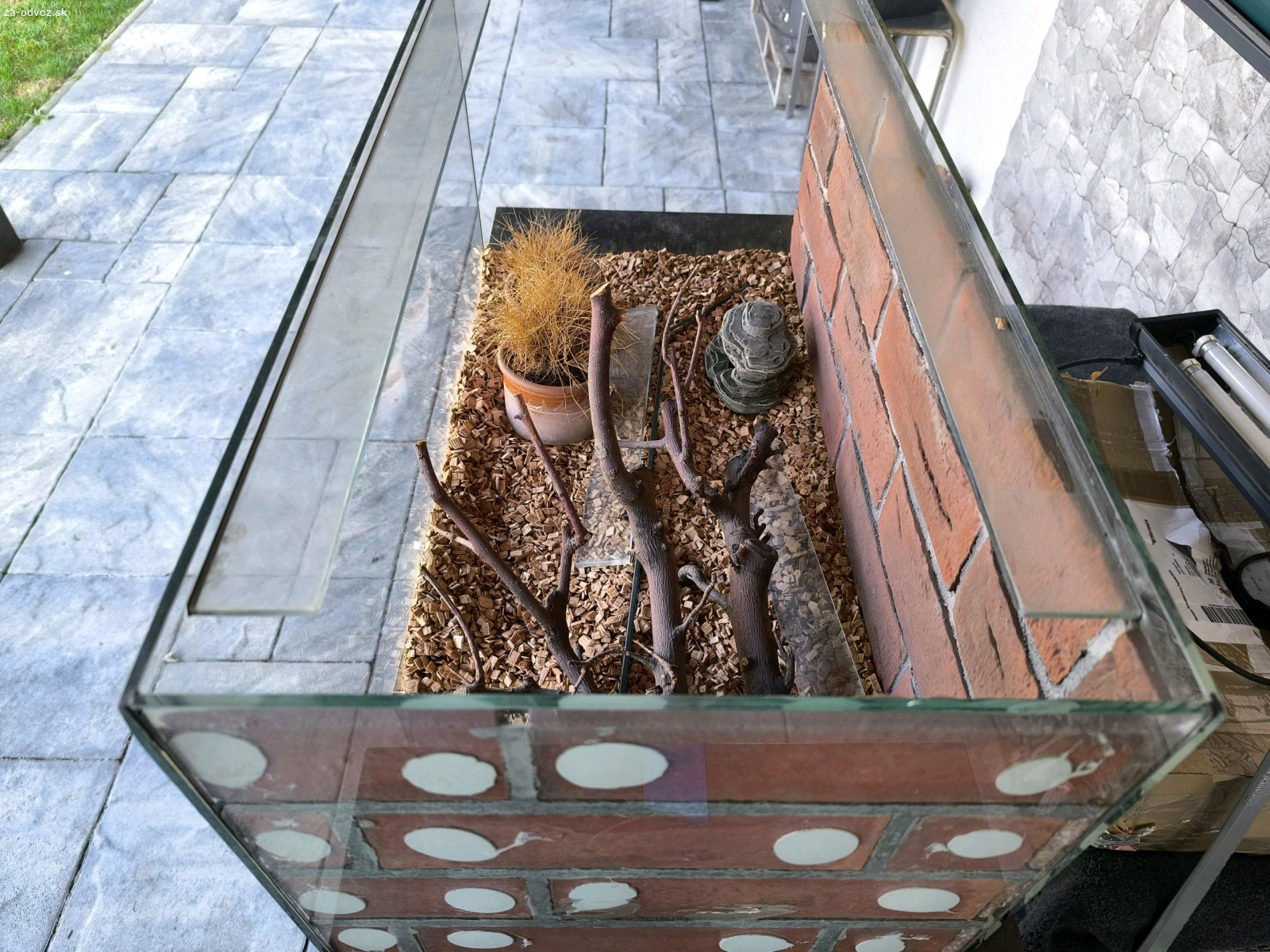 Darujem Terarium