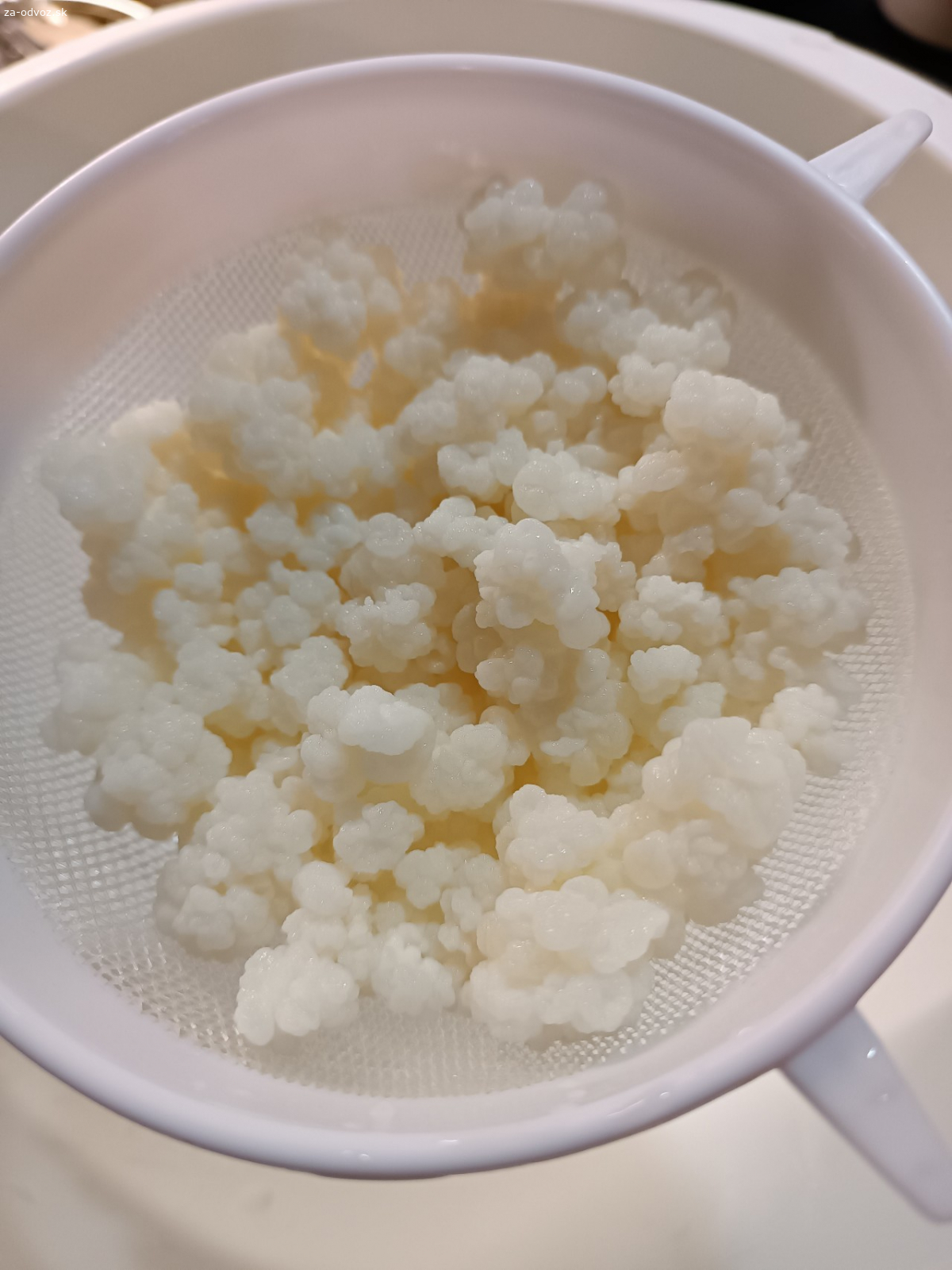 Darujem tibetansku hubu