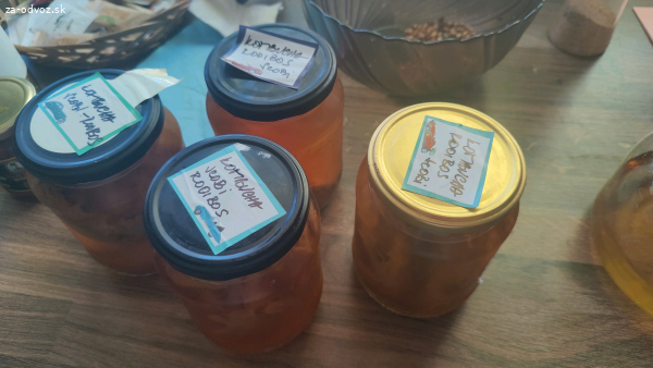 Kombucha scobi v naleve Rooibos