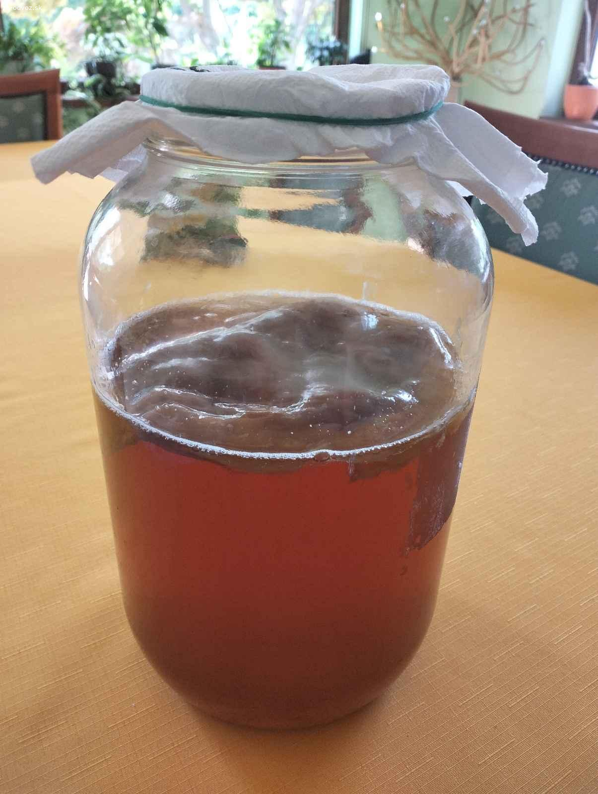 Kombucha