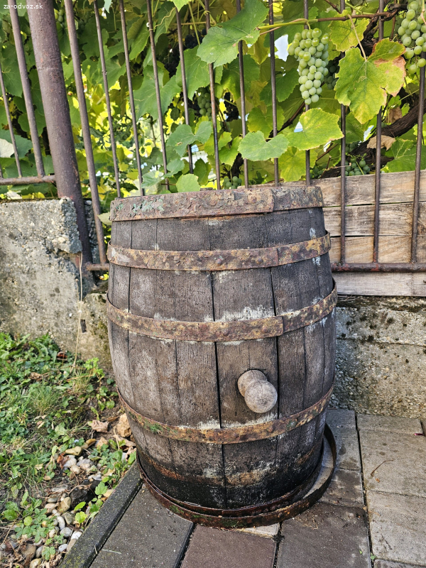 sud z vína
