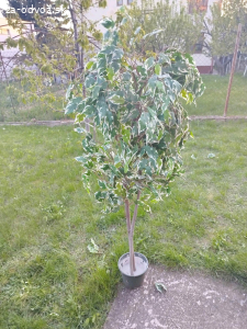 umele rastliny - stromky